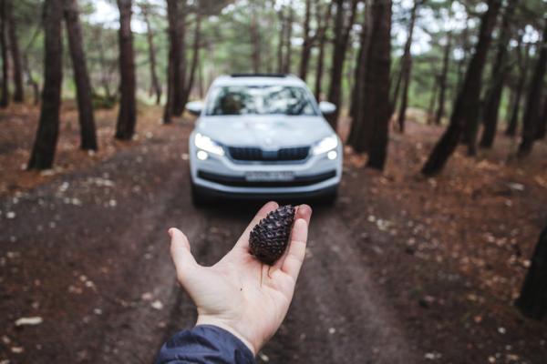 Тур «SKODA в поисках весны» прошел на черноморском побережье